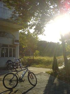 From Wikimedia Commons - Unlimited License